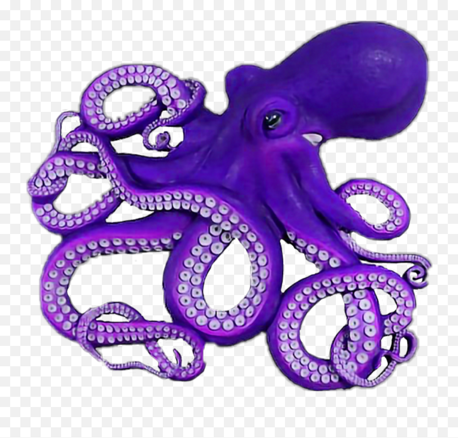 Octopus Sticker By Cherigoodman59 - Realistic Octopus Eye Drawing Emoji,Purple Octopus Emoji
