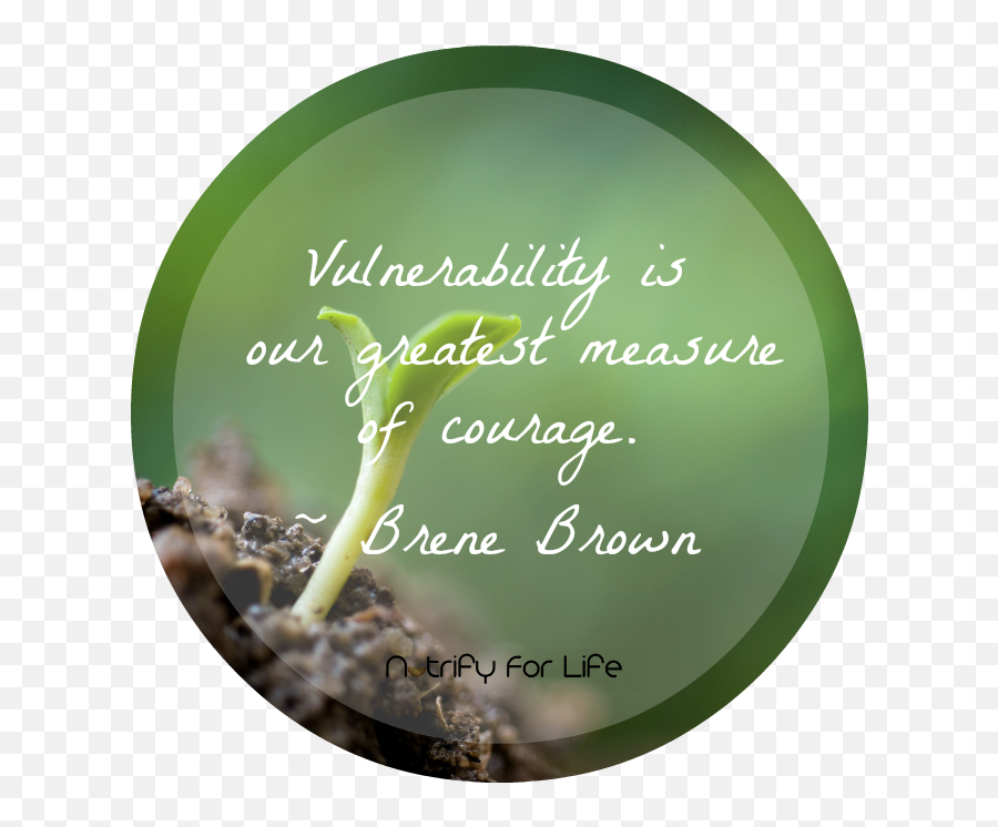 One Of My Favorite Quotes From Brene - Soil Emoji,Brene Brown Emotions