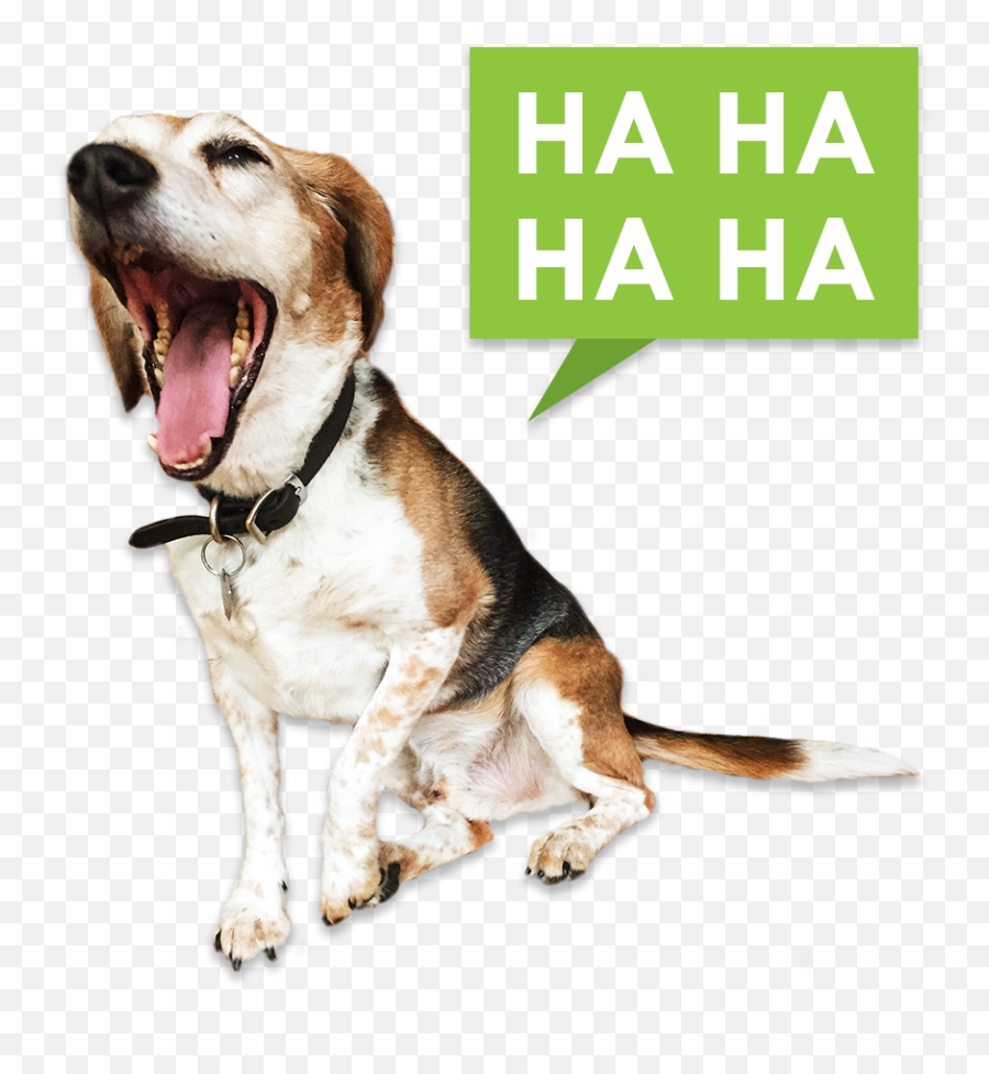 The Beags U2014 Simply Amazing Beagles Ios Sticker Pack By - Keep Calm And Love Emoji,Pack De Emojis Png 2017