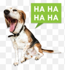 The Beags U2014 Simply Amazing Beagles Ios Sticker Pack By - Keep Calm And Love Emoji,Pack De Emojis Png 2017