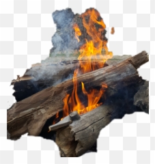 Bonfirebonfires Sticker By Pam - Bonfire Emoji,Bonfire Emoji