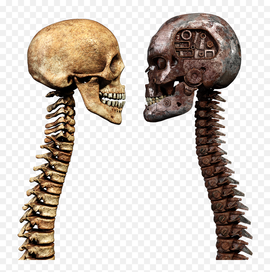 Free Photo Skull Spine Bone Crossbones Cervical Vertebrae - Scary Emoji,Emotion Trap In The Spine