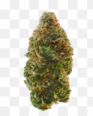 Cannabis Strains That May Help Muscle Spasms Leafly Emoji,Twtich Marajuana Emoticon