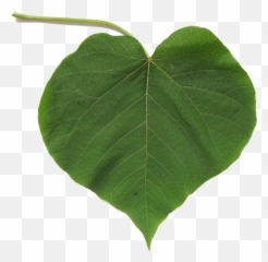 Natureza - Lacre Mania Emoji,Cora??o Emoji Tumblr