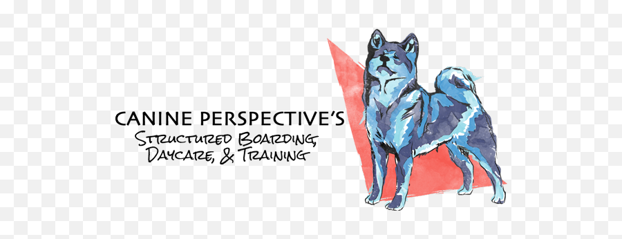 Dog Training With Canine Perspective Chicagou0027s Best In Dog Emoji,How To Tell Shiba Inu Emotion