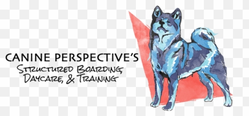 Dog Training With Canine Perspective Chicagou0027s Best In Dog Emoji,How To Tell Shiba Inu Emotion
