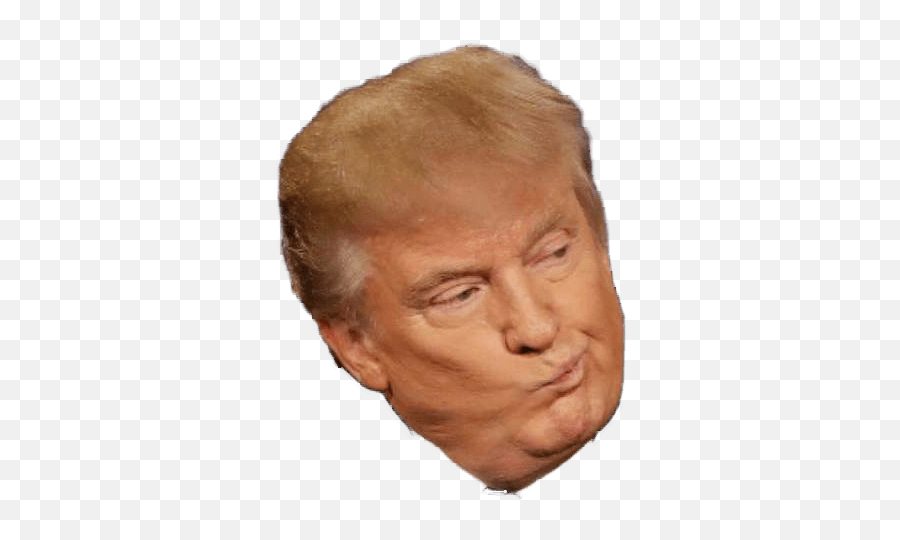 Donald Trump Thumbs Up Transparent - Transparent Donald Trump Head Png Emoji,Emoji Of Trump