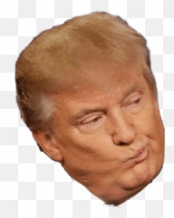 Donald Trump Thumbs Up Transparent - Transparent Donald Trump Head Png Emoji,Emoji Of Trump