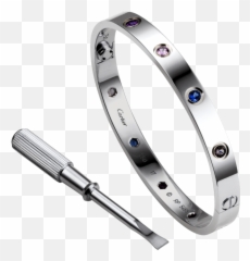 Love Bracelet Cartier Love Bracelet Love Bracelets - Cartier Love Bracelet Emoji,Aquamarine Emoji