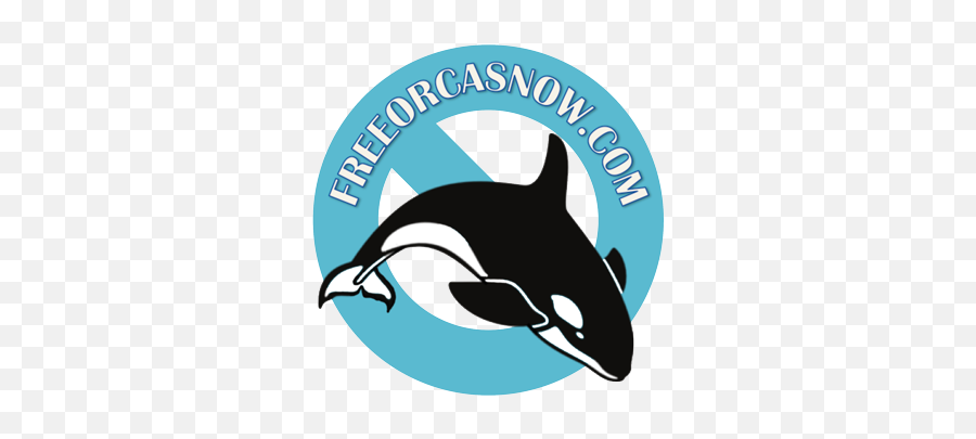 Pin - Whale Bw Emoji,Orcas Brain Emotions