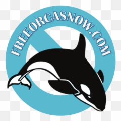Pin - Whale Bw Emoji,Orcas Brain Emotions