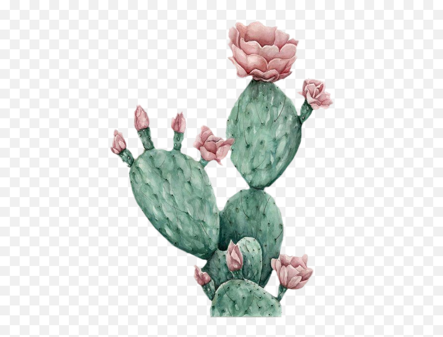 Kaktus Cactus Sticker - Aesthetic Plant Bloxburg Picture Codes Emoji,Cactus Emoji
