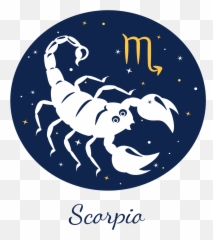 Sagittarius Weekly Tarot Reading March 8 - 14 2020 November 08 Scorpion Emoji,All Lantern Corp Emotions