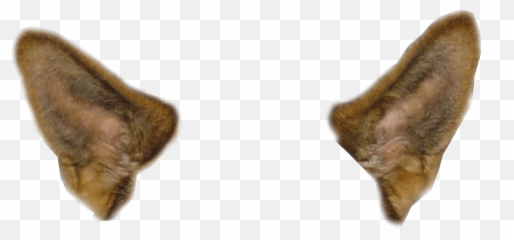 Download Snapchat Dog Filter - Orejas De Perro Png Emoji,Snap Fingers Emoji