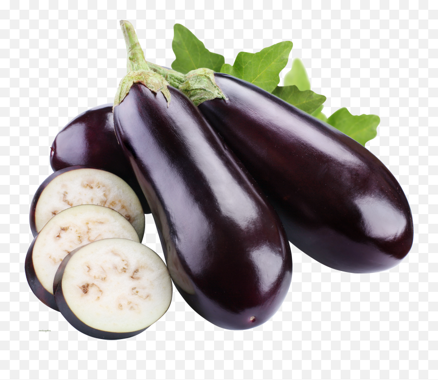 11 Cat Gifs That Will Make You Lol - Eggplant Png Emoji,Eggplant Emoji Means