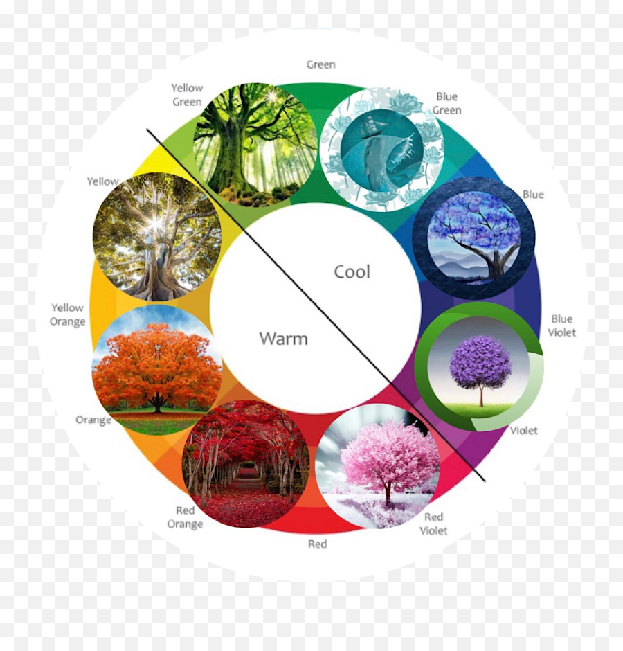 Color Wheel Website Design Color Color Wheel - Vertical Emoji,Negative Emotion Of The Color Orange