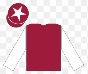 Moonax - Sheikh Mohammed Racing Colours Emoji,Horse Emotions Printable Encyclopedia