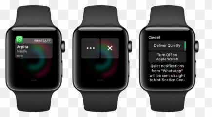 12 Hidden Apple Watch Features New Users Must Try - Pocket Casts Apple Watch Emoji,Emoji Movie Streaming