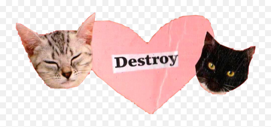 Cats Destroy Heart Sticker By Smosfir 18 - Black Cat Emoji,Cat With Heart Emojis Meme