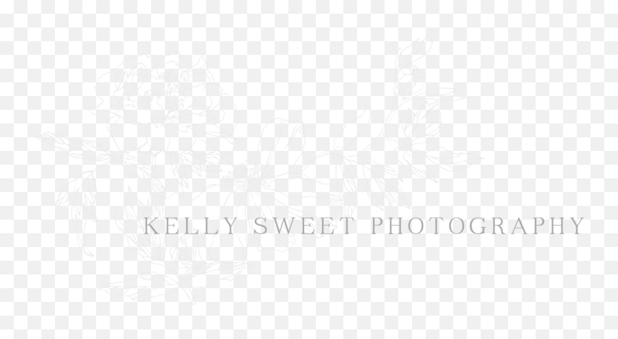 Kelly Sweet Photography Grand Rapids Wedding Photographer - Language Emoji,Sweet Emotion Year