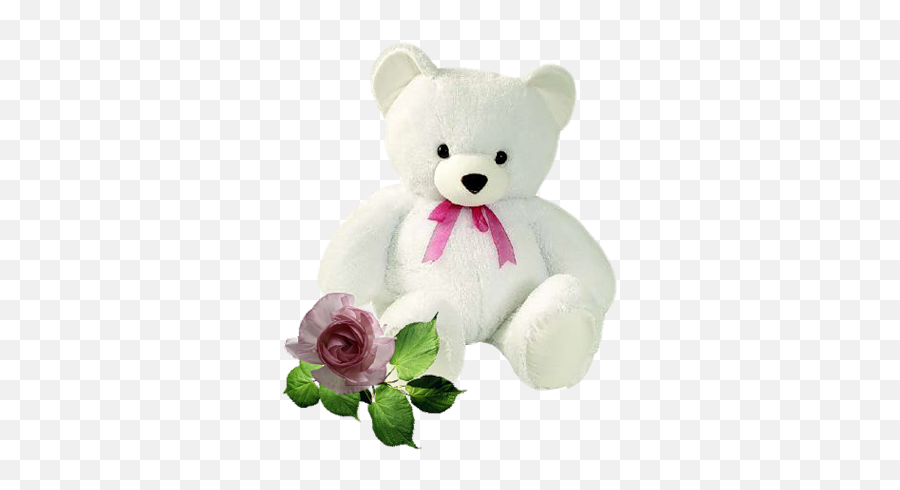 Teddy Bear Images Cute Teddy Bears - Small White Teddy Bear Emoji,Emoticons Presiden