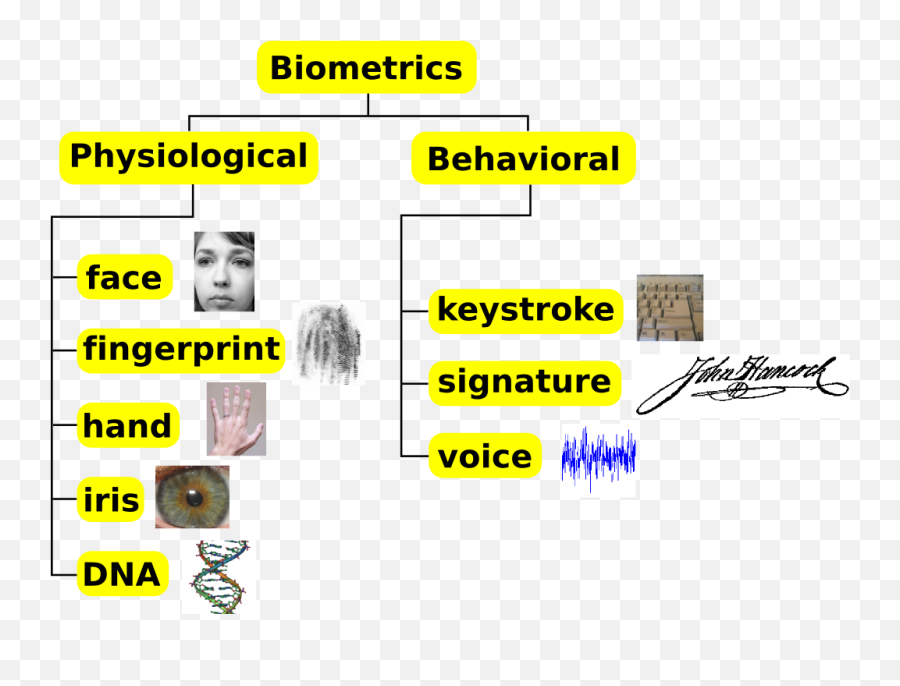 Consumer Insights - Classification Of Biometric System Emoji,Fractl Viral Emotions