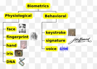 Consumer Insights - Classification Of Biometric System Emoji,Fractl Viral Emotions
