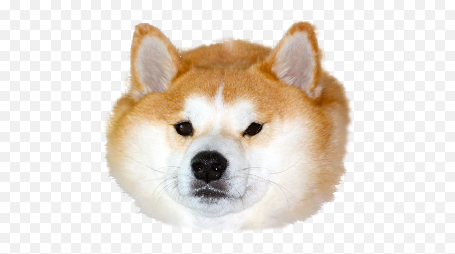 Steam Profile Pictures - Dog Edition Album On Imgur Steam Profile Pictures Dog Emoji,Steam Emoticon Art Doge
