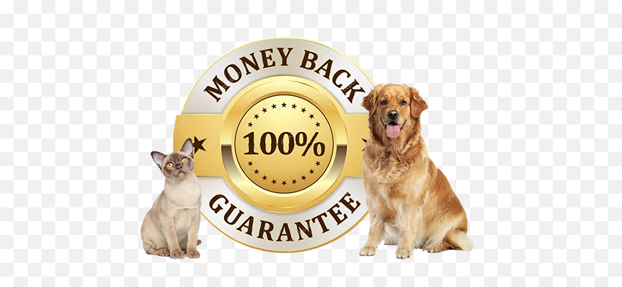 Valid Esa Letters - 30 Days Money Back Guarantee Badge Emoji,Emotions With The Letter V In Them