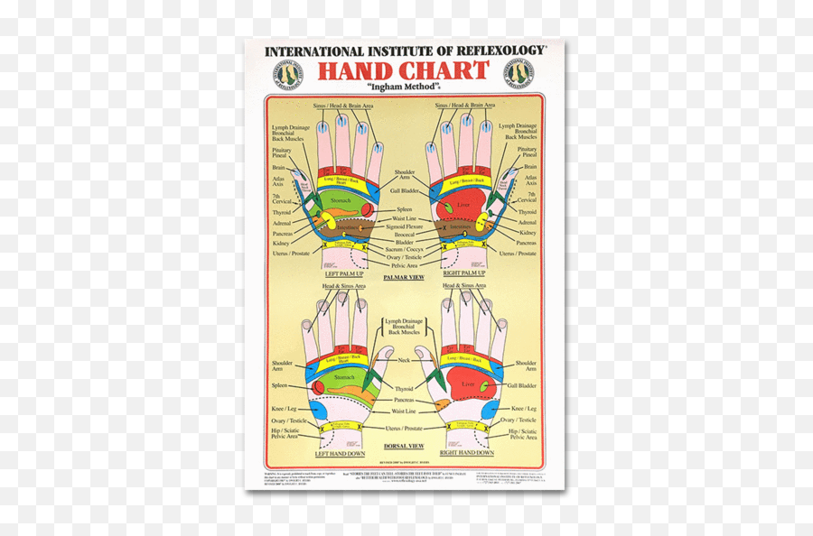 Foot Chart - Hand Reflexology Chart Emoji,Charts Irridology Reflexology Emotions