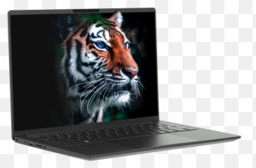 Tuxedo Release The Configurable Infinitybook Pro 14 With A Emoji,Linux Tux Discord Emoji