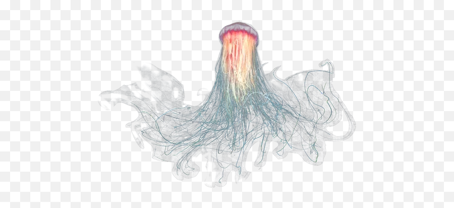 Telegram Sticker From Jellyfish Pack Emoji,Jyllfish Emoji Telegram Sticker From Jellyfish Pack Emoji,Jyllfish Emoji