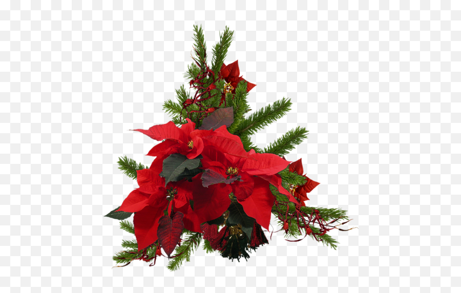 Christmas Wreath Poinsettia Red Sticker - For Holiday Emoji,Poinsettia Emoji