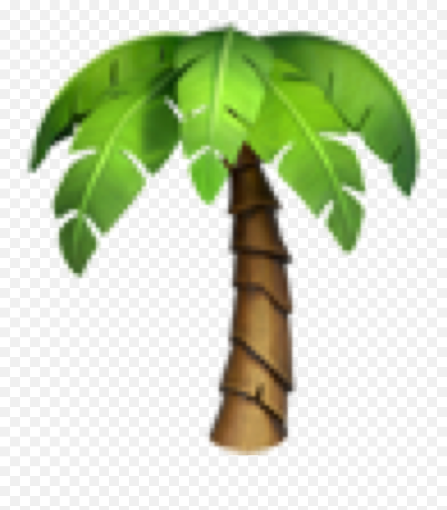 Emoji Palmtree Palm Beach Tree Emojis - Palmen Emoji,Palm Emoji