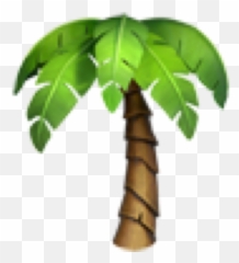 Emoji Palmtree Palm Beach Tree Emojis - Palmen Emoji,Palm Emoji