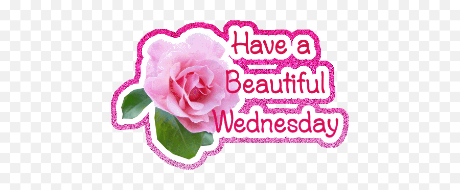 Top Beautiful Wednesday Stickers For Android U0026 Ios Gfycat - Have A Beautiful Wednesday Gif Emoji,Hello Spank Emoticon