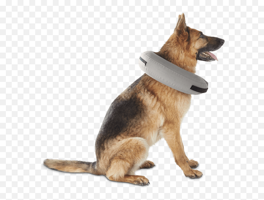 Well U0026 Good Inflatable Collar For Dogs And Cats Large X - Large Martingale Emoji,How To Tell German Shepherds Emotions By Their Ears