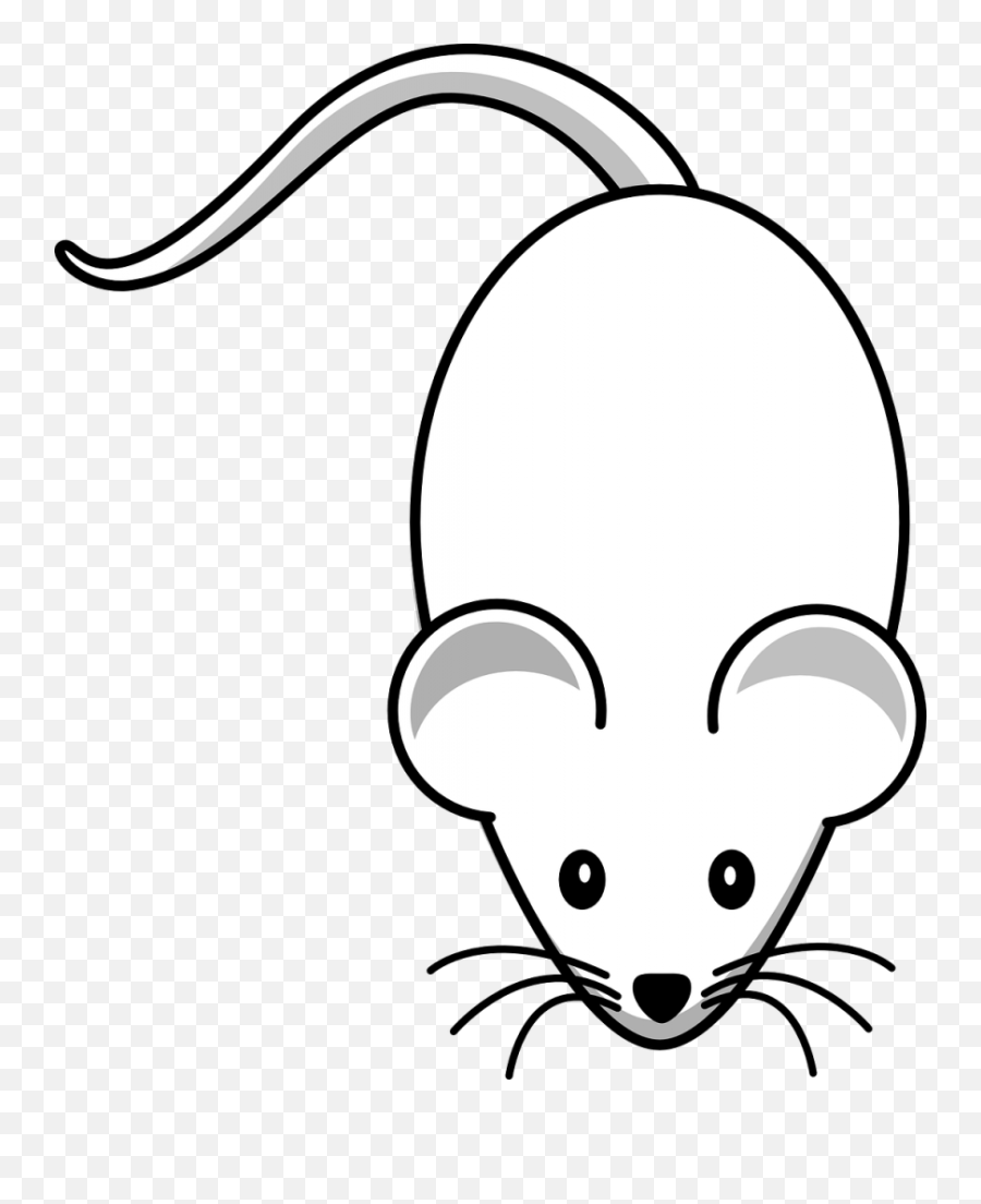 Free Photo Rodent Pet Animal Gerbil - Cartoon Mouse Image Png Emoji,Gerbil Tail Emotions