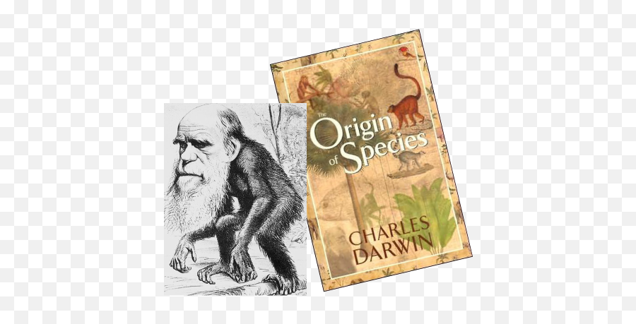 Leadership And Legacy - Created The Theory Of Evolution Emoji,Charles Darwin Emotion Quote