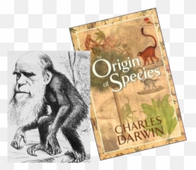 Leadership And Legacy - Created The Theory Of Evolution Emoji,Charles Darwin Emotion Quote