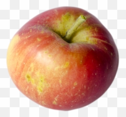 Our Lovely Apples Champlain Orchards Emoji,Emoji Apple Pomme