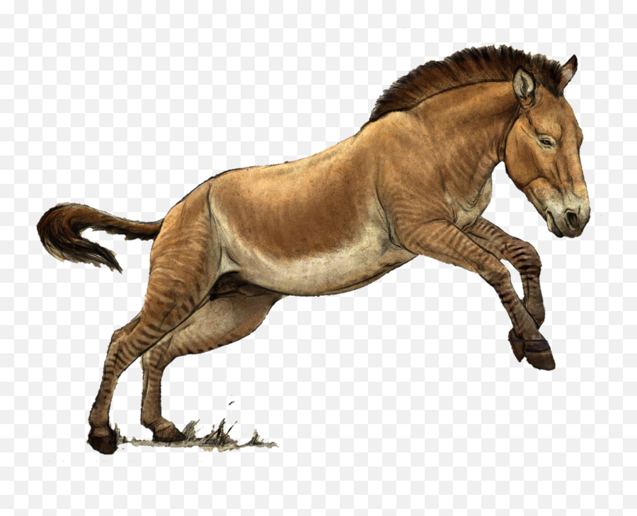 Horse Prehistoric Hagerman Sticker - Animal Figure Emoji,Horse Emoji App