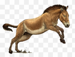 Horse Prehistoric Hagerman Sticker - Animal Figure Emoji,Horse Emoji App