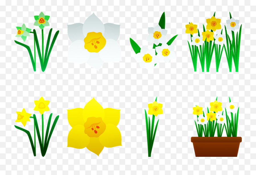 Daffodils Yellow Flower Bloom Public Domain Image - Freeimg Emoji,Green Emojis Nature