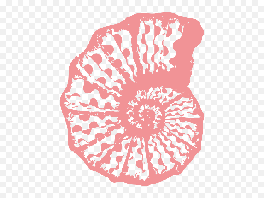 Sea Coral Clipart Cbrp - Coral Sea Shell Clip Art Emoji,Coral Emoji