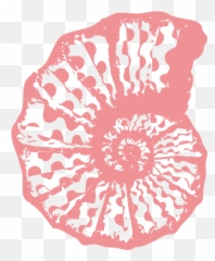 Sea Coral Clipart Cbrp - Coral Sea Shell Clip Art Emoji,Coral Emoji