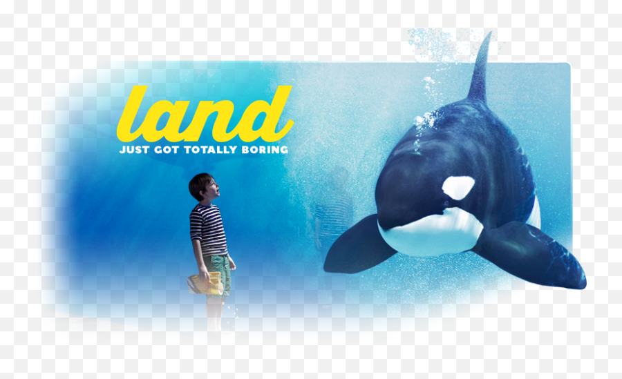 Former Seaworld Ad Writers Emoji,Orcas Brain Emotions
