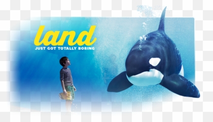 Former Seaworld Ad Writers Emoji,Orcas Brain Emotions