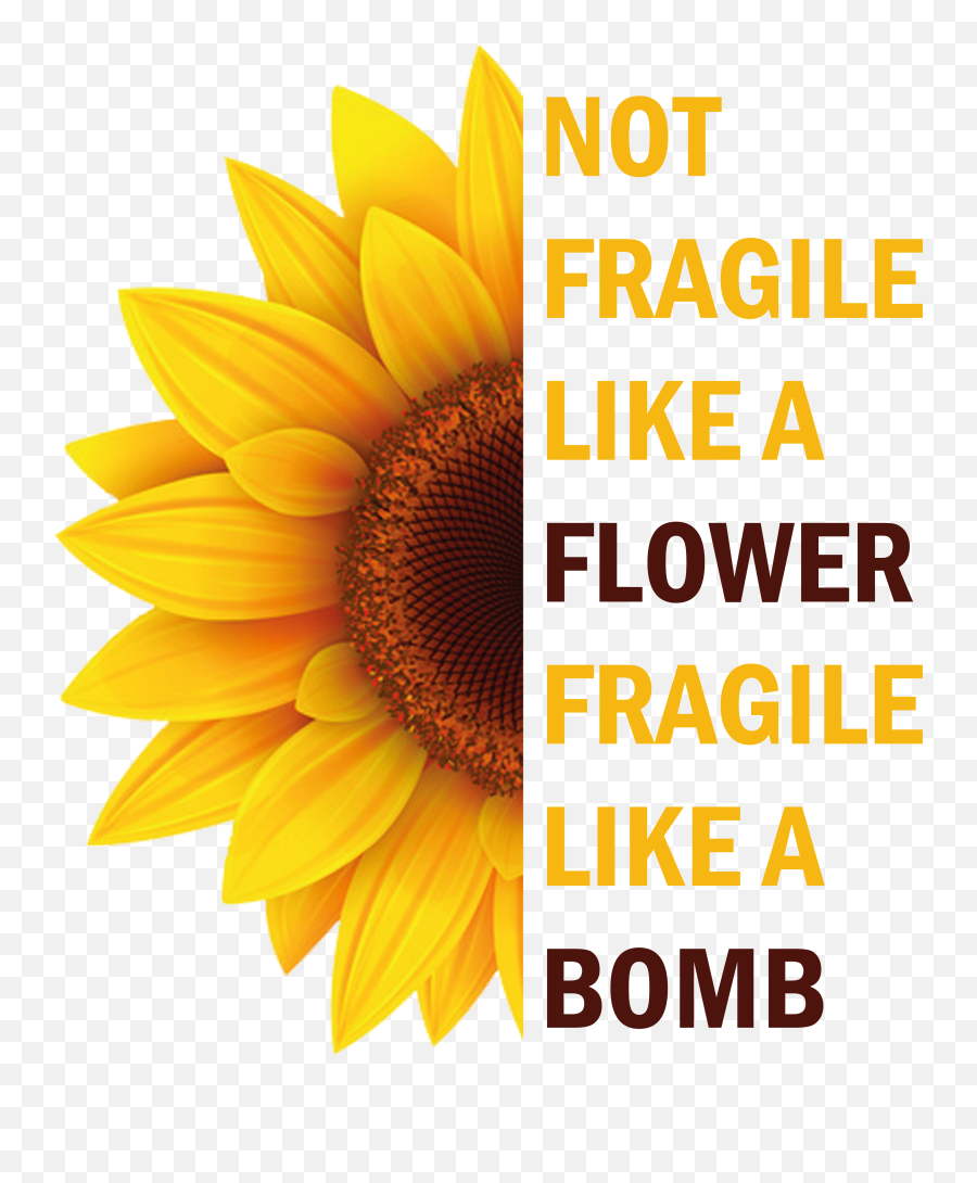 Flower Fragile Like A Bomb Apron - Fresh Emoji,Did The Emoji Movie Bomb