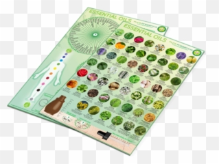 Double Dowsing Sheet Essential Oils - Dot Emoji,Doterra Essential Emotions Pdf